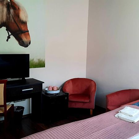 卡巴鲁斯洛瓦斯马约尔住宿加早餐旅馆 Nyíregyháza 外观 照片