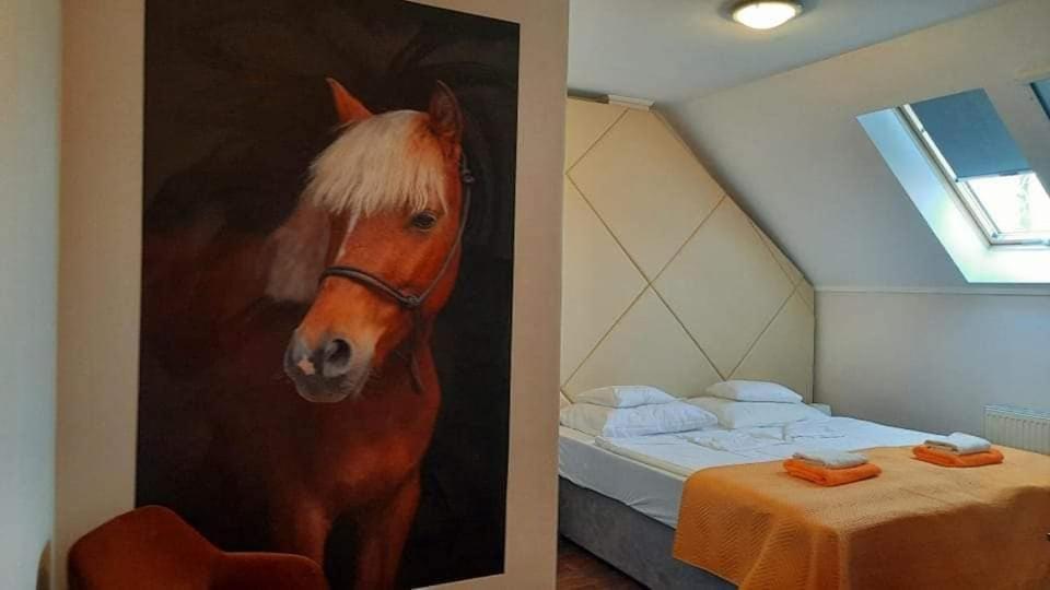 卡巴鲁斯洛瓦斯马约尔住宿加早餐旅馆 Nyíregyháza 外观 照片