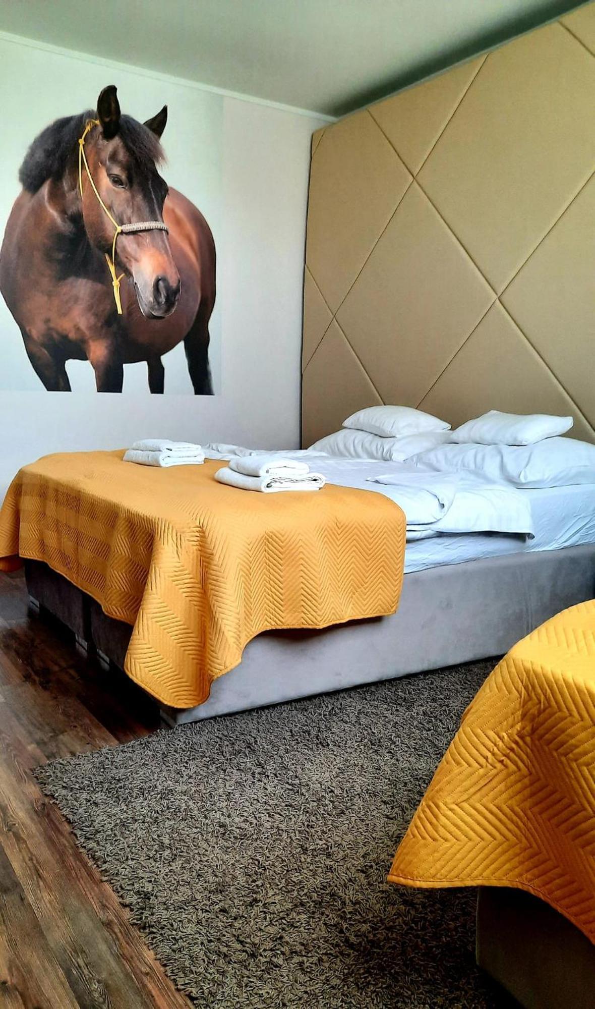 卡巴鲁斯洛瓦斯马约尔住宿加早餐旅馆 Nyíregyháza 外观 照片
